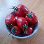 Tomato 'Quadro' Irish Seeds Image 2