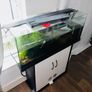 fish tank aquarium Image 3