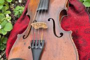 Violin