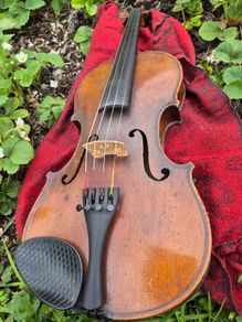 Violin