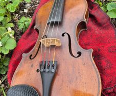 Violin