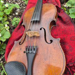 Violin
