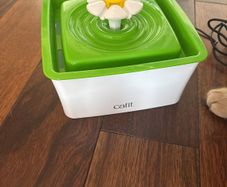 Cat Water Fauntain
