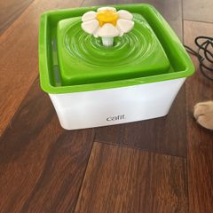 Cat Water Fauntain
