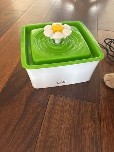Cat Water Fauntain