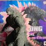 S.H.MonsterArts Godzilla (Evolved Ver.) Godzilla x Kong: The New Empire Image 3