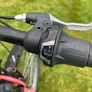 Serene Mountain Bike Image 6