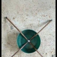 Christmas tree stands