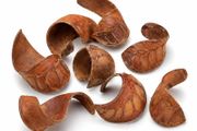 AquaCurl 8-10 cm natural decoration for fish and shrimp
