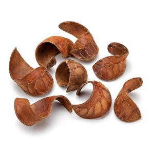 AquaCurl 8-10 cm natural decoration for fish and shrimp