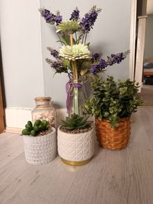 Plants pots for indoor decoration