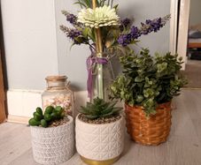 Plants pots for indoor decoration