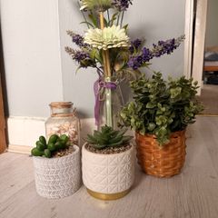 Plants pots for indoor decoration