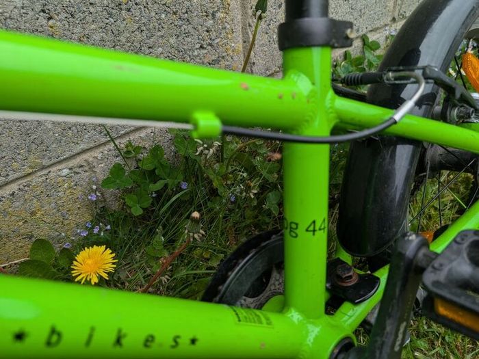 bike kids frog