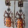 Bejewelled Crystal Large Beetle Earrings Image 6