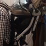 Carrier  toddler Image 6