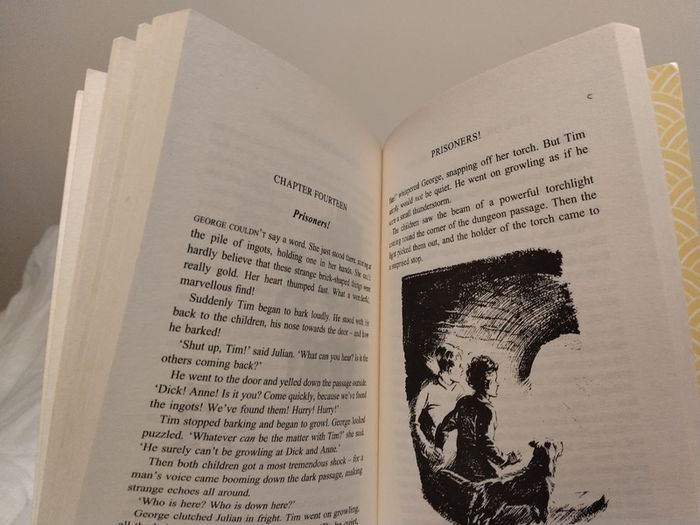 Enid Blyton, The Famous Five Classic Story Books