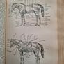 The Modern University Encyclopaedia  1957 LARGE VOLUME BOOK. Image 8