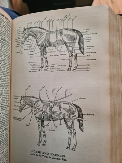 The Modern University Encyclopaedia  1957 LARGE VOLUME BOOK.