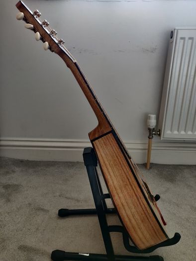 Octave Mandola and Gig Bag
