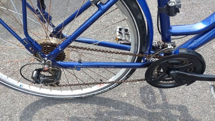 Raleigh Pioneer 1 ladies bike