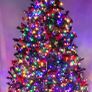 christmas tree Image 2