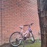 ladies bike Image 2