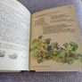 The Country Diary of an Edwardian Lady 1979 by Edith Holden in very good condition with some wear to the dustcover see photos FREE STANDARD POSTAGE INCLUDED Image 10