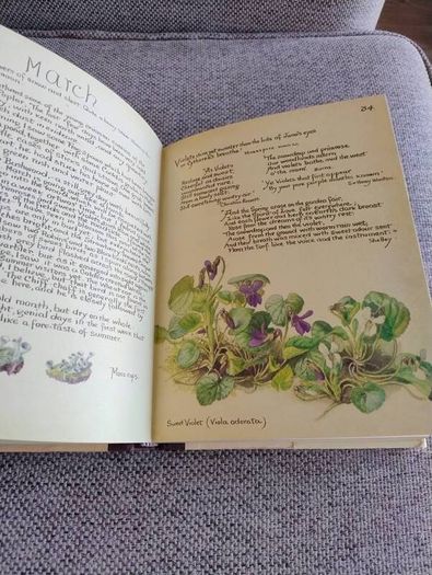 The Country Diary of an Edwardian Lady 1979 by Edith Holden in very good condition with some wear to the dustcover see photos FREE STANDARD POSTAGE INCLUDED