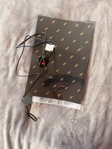 Jumping spider set up