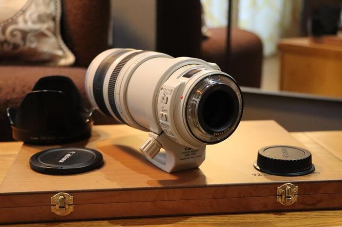 Canon Ef 28-300mm F/3.5-5.6 L Is Usm