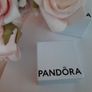 New pandora charm Image 5