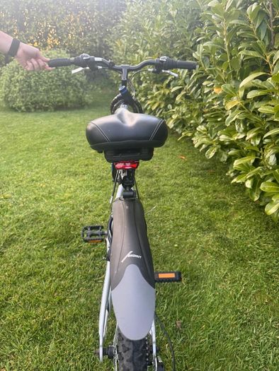Mens Raleigh Mountain Bike