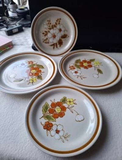 Vintage Mountain Wood Collection Stoneware Plates Set of 4 Japan