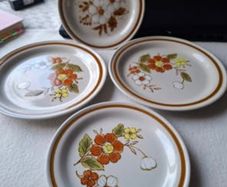 Vintage Mountain Wood Collection Stoneware Plates Set of 4 Japan