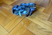 shoe