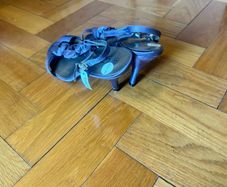 shoe