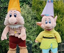 Two Large Dwarfs (Please Read)