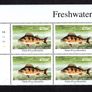 2001 Ireland Freshwater Fish (Perch, Arctic Charr, Pike & Bream) Commemorative Stamp Plate 1A1A1A1A (3 Blocks) Mint Never Hinged (MNH) Image 3
