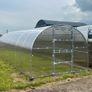 Greenhouse / polytunnel with strong Polycarbonate sheeting Image 10