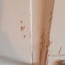 Pine doors Image 9