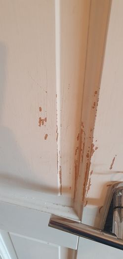 Pine doors