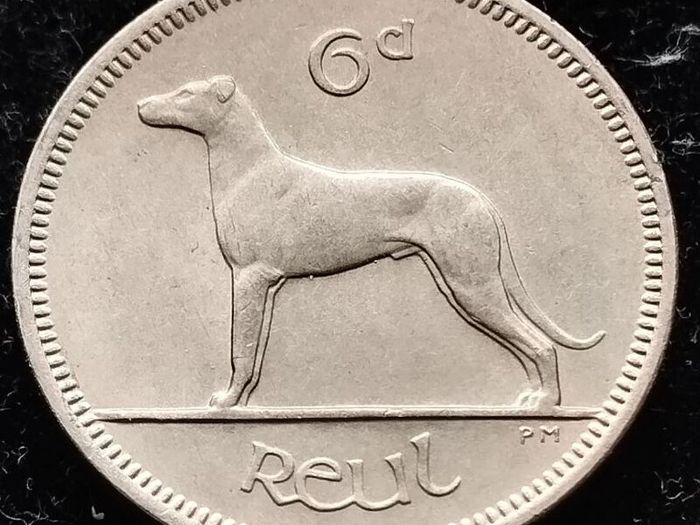 [#893..] - Ireland 1969 | Irish 6p | Six Pence | Wolfhound | KM.13a | Mint State