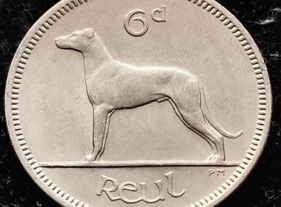 [#893..] - Ireland 1969 | Irish 6p | Six Pence | Wolfhound | KM.13a | Mint State