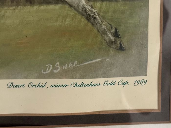 Des Snee Signed Limited Edition Print - "White Tornado" (Desert Orchid, 1989) - 73 x 65 cm