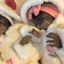 doll    Very cute reborn twin monkey's Image 6