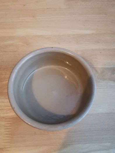 Rabbit Bowl