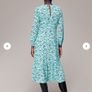 Whistles dress Image 2