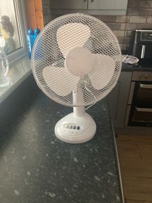 fan