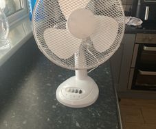 fan
